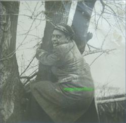 Elev cocotat in copac, circa 1941-1942