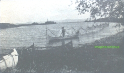 Plase de pescari in Delta Dunarii